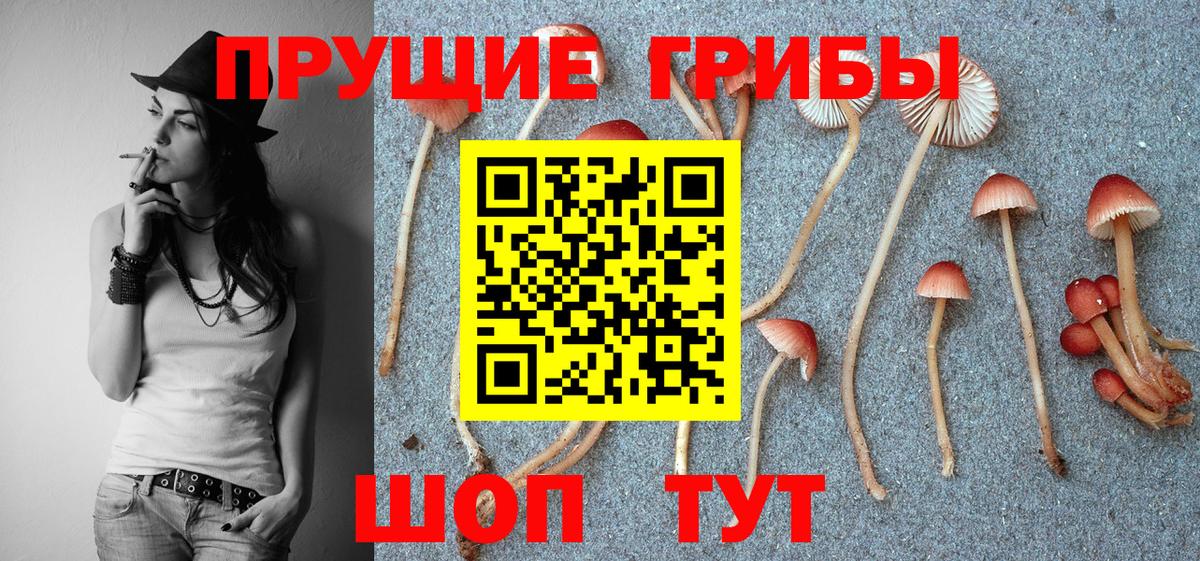 Псилоцибиновые грибы MAGIC MUSHROOMS  Вход с VPN  Симферополь 