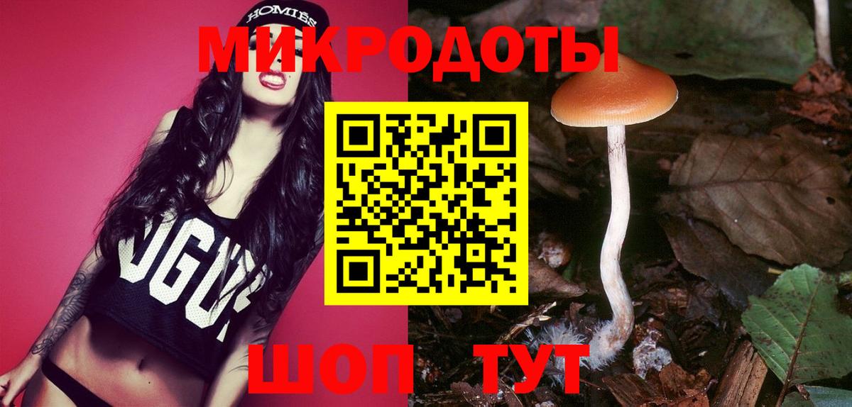 Псилоцибиновые грибы Cubensis Симферополь